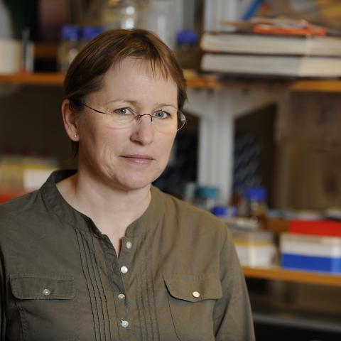 Marta Guðjónsdóttir